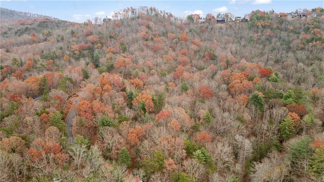 00 Oceola Dr, Ellijay, GA 30540