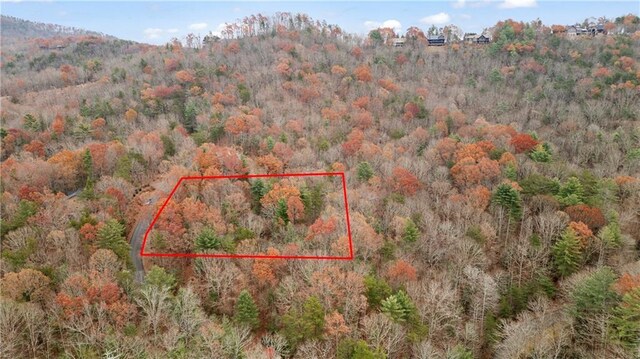 00 Oceola Dr, Ellijay, GA 30540