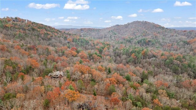 00 Oceola Dr, Ellijay, GA 30540