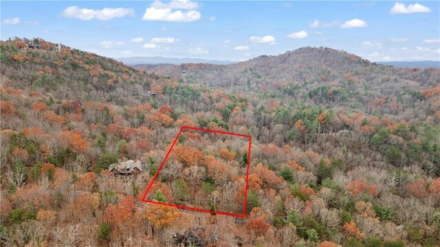 00 Oceola Dr, Ellijay, GA 30540