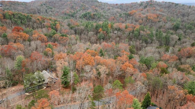 00 Oceola Dr, Ellijay, GA 30540