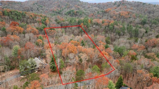 00 Oceola Dr, Ellijay, GA 30540