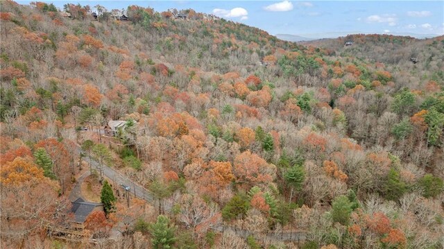 00 Oceola Dr, Ellijay, GA 30540