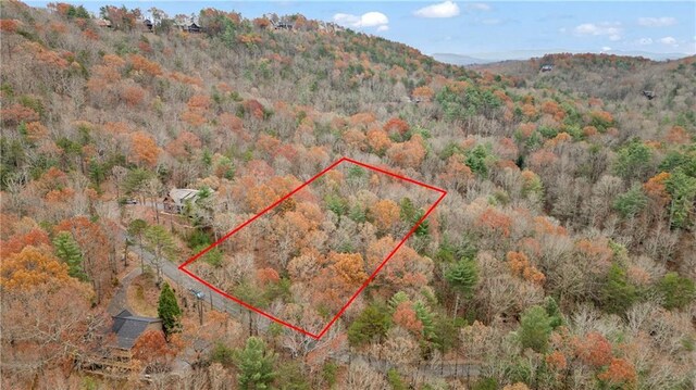 00 Oceola Dr, Ellijay, GA 30540