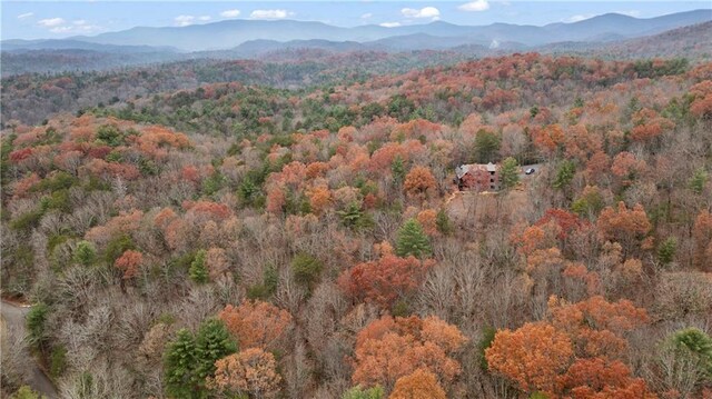 00 Oceola Dr, Ellijay, GA 30540
