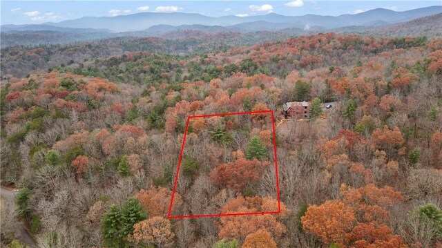00 Oceola Dr, Ellijay, GA 30540