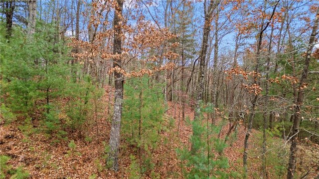 00 Oceola Dr, Ellijay, GA 30540