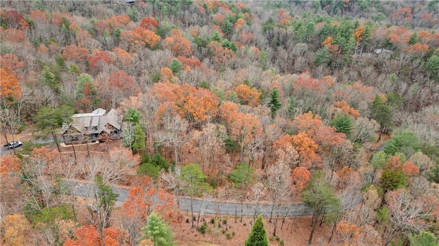 00 Oceola Dr, Ellijay, GA 30540