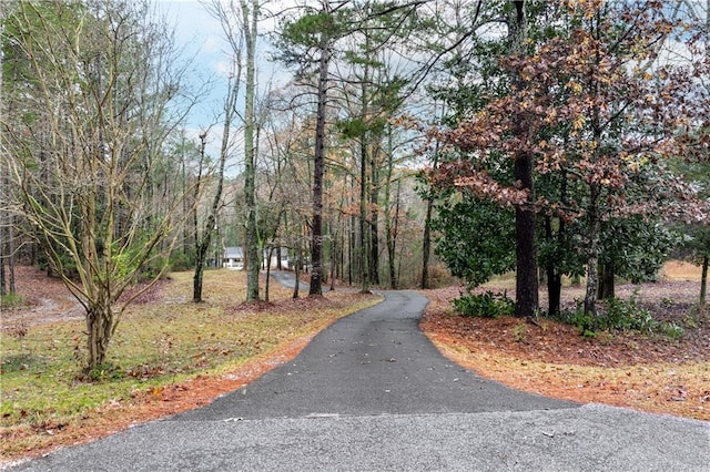 view of road with aphalt driveway