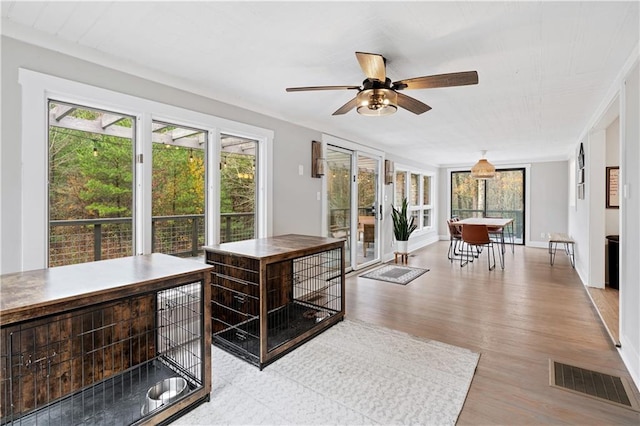 sunroom featuring visible vents and a ceiling fan