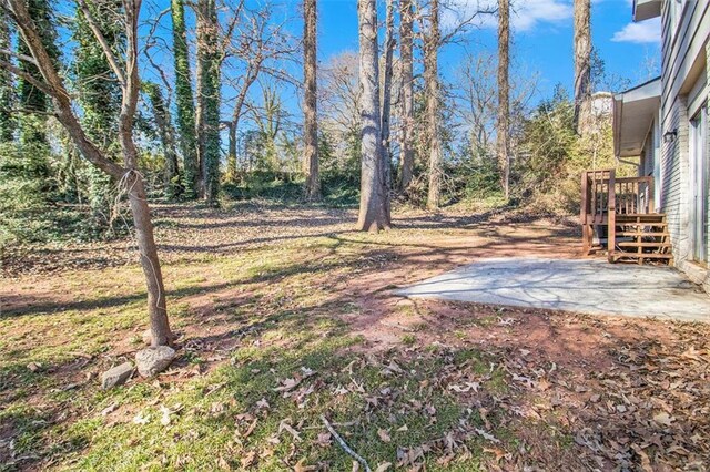 view of yard featuring a patio area