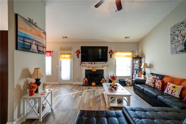 504 Cole Creek Dr, Dallas, GA 30157 - living room featuring wood finished floors, plenty of natural light, a ceiling fan, a textured ceiling, and a fireplace with flush hearth
