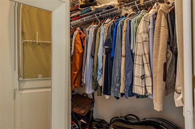 view of spacious closet