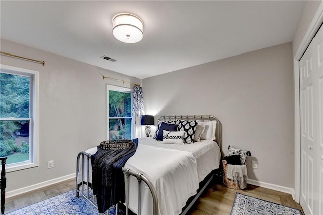 127 Bradshaw Park Dr, Woodstock, GA 30188 - bedroom with multiple windows, wood finished floors, and a closet