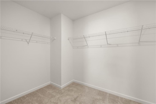 walk in closet featuring carpet flooring