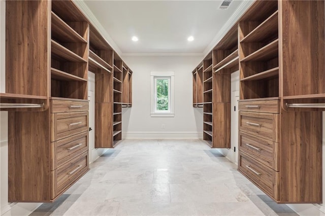 spacious closet with visible vents