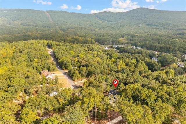 birds eye view of property featuring a mountain view