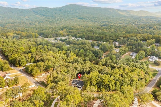 bird's eye view with a mountain view