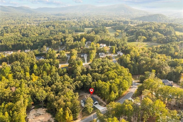 drone / aerial view featuring a mountain view