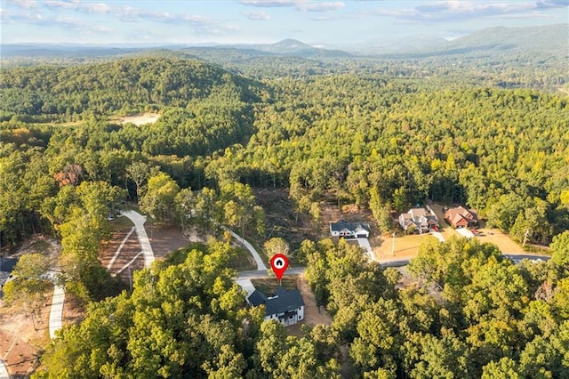 aerial view with a mountain view