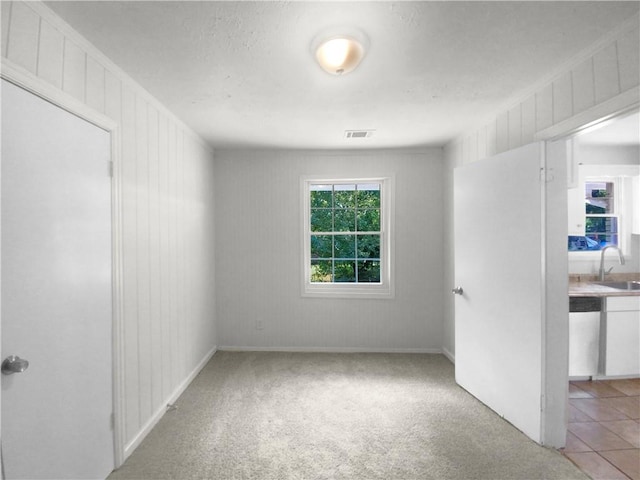 spare room with light carpet and sink