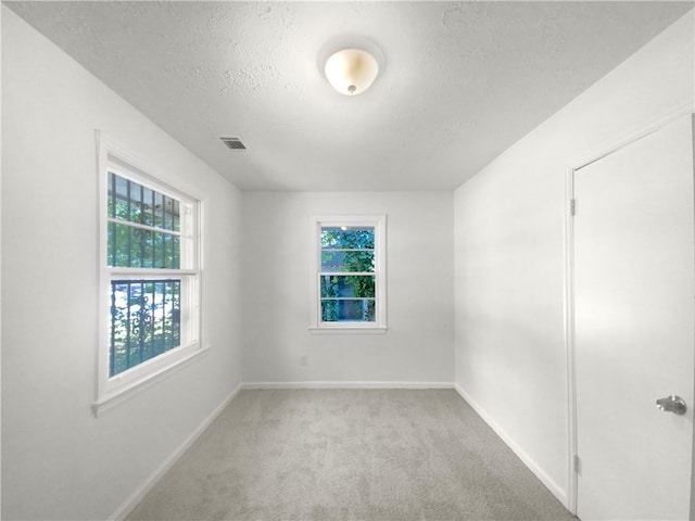 unfurnished room with a textured ceiling, light carpet, and plenty of natural light