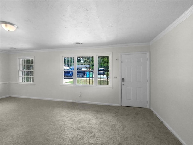 empty room featuring carpet flooring and crown molding