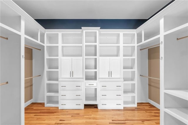 1580 Loving Rd, Morganton, GA 30560 - walk in closet featuring light wood-style flooring