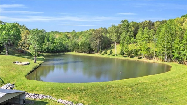 1580 Loving Rd, Morganton, GA 30560 - view of water feature with a view of trees