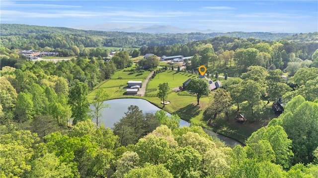 1580 Loving Rd, Morganton, GA 30560 - aerial view with a water view and a wooded view