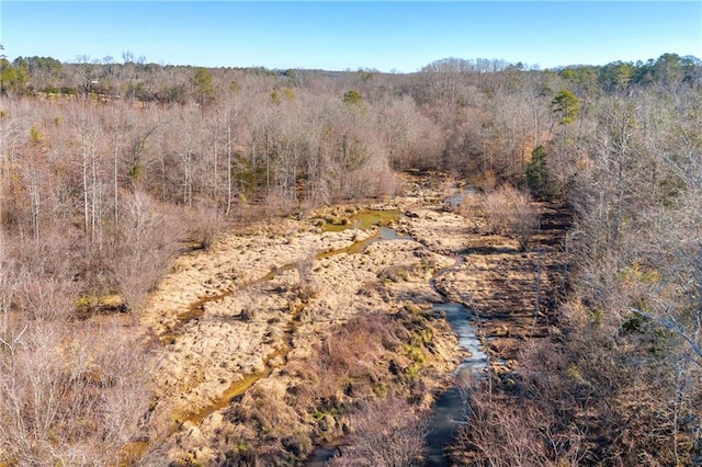 view of local wilderness