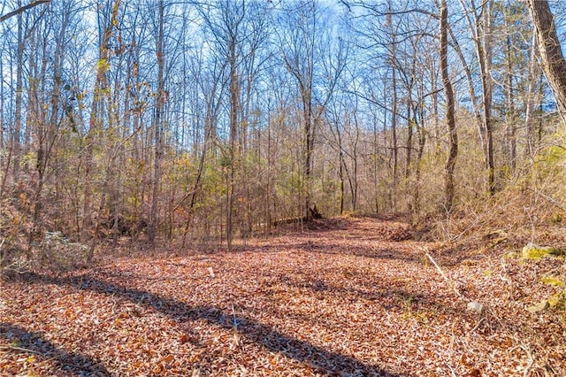 view of local wilderness