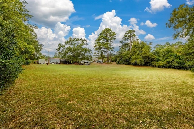 1278 Twin Pine Rd, Milledgeville, GA 31061 - view of green lawn