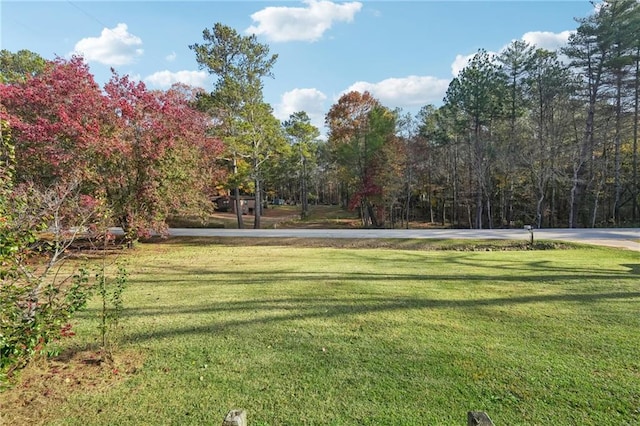 surrounding community featuring a yard