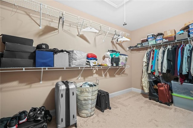 walk in closet with carpet floors and attic access