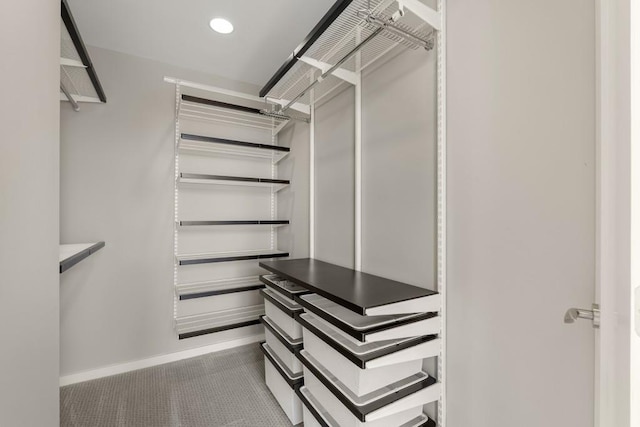 walk in closet featuring carpet flooring