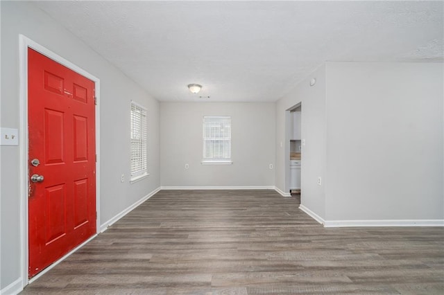 entrance foyer featuring dark hardwood / wood-style floors