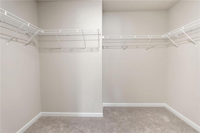 181 Dewy Rd Unit 70, Lilburn, GA 30047 - walk in closet featuring carpet