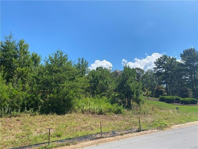 11 Lake Overlook Dr, White GA, 30184 land for sale