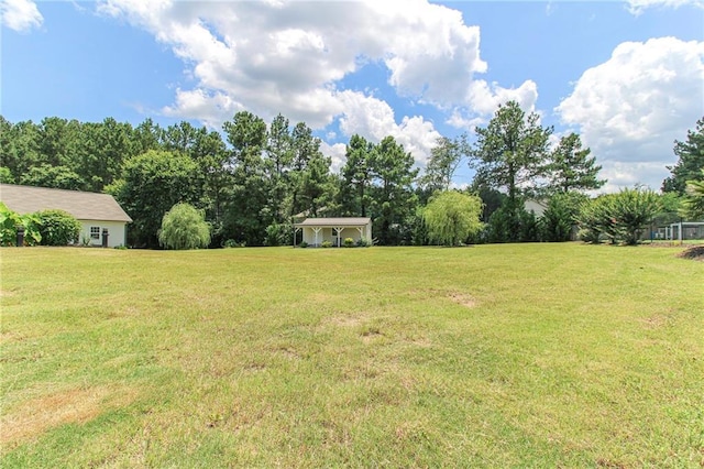 409 Glenn Trl, Winder, GA 30680 - view of grassy yard