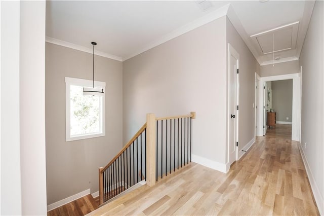 corridor with hardwood / wood-style flooring and ornamental molding