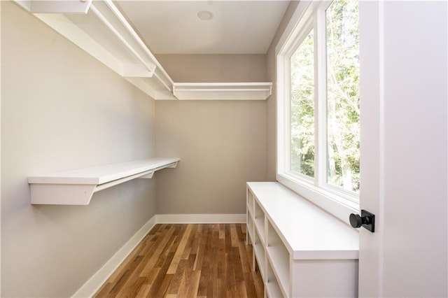 walk in closet with dark hardwood / wood-style flooring