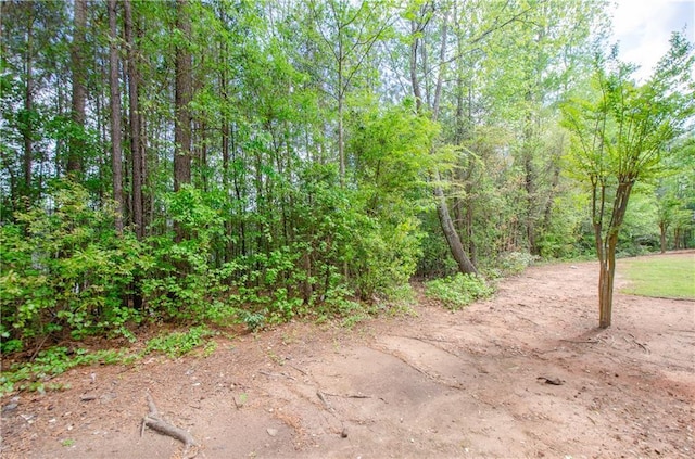 view of nature featuring a forest view