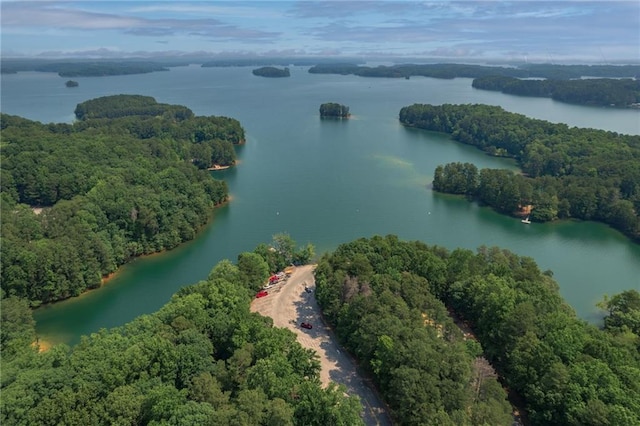 6004 Turfway Park Ct, Sugar Hill, GA 30518 - bird's eye view of a nearby body of water and a forest