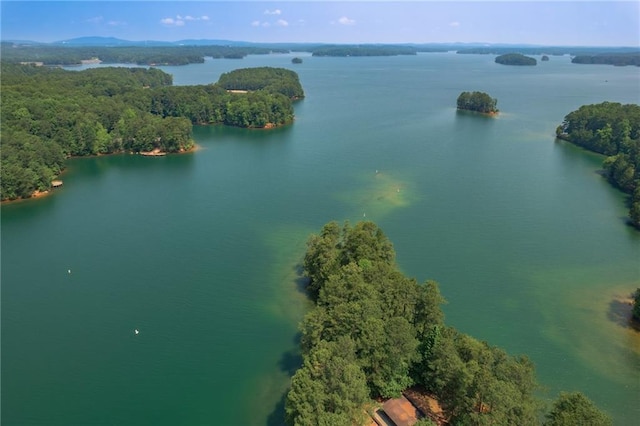 6004 Turfway Park Ct, Sugar Hill, GA 30518 - aerial view of a nearby body of water and a heavily wooded area
