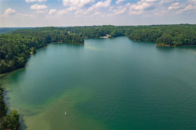 6004 Turfway Park Ct, Sugar Hill, GA 30518 - bird's eye view of a nearby body of water and a heavily wooded area