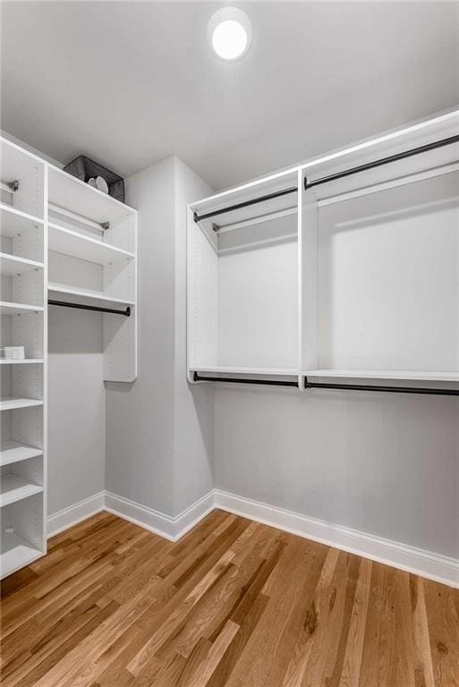 spacious closet with hardwood / wood-style floors