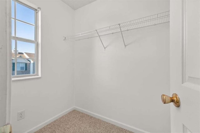 walk in closet featuring carpet flooring