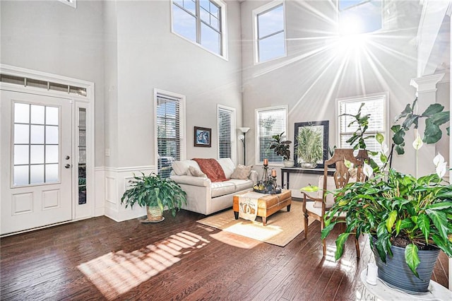 living room with dark wood-type flooring, a high ceiling, and plenty of natural light