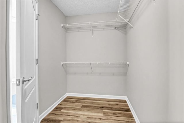 spacious closet featuring hardwood / wood-style flooring